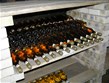 Maďarsko - Tokaj - lahve proslulého tokajského, vína které stojí za ochutnání