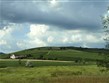 Maďarsko - Tokajské vrchy, zde zraje proslulé víno a celá oblast je zapsaná do seznamu světového dědictví UNESCO