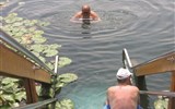 Hévíz - Maďarsko - termální lázně Hévíz - voda v jezeru má kubaturu asi 127.000 m3 a vymění se kompletně každých 3 a půl dne
