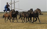 severní Maďarsko - Maďarsko -  NP Hortobágy -  Kochova pětka, ukázka vrcholného jezdeckého umění maďarských pastevců - čikošů